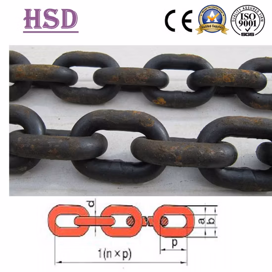 E. Galvanized (DIN763/DIN766/DIN5685) DIN764 Chain Link with Factory Certificate