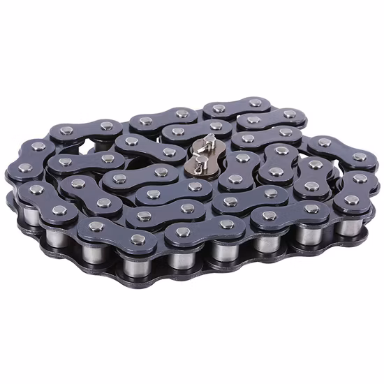 DIN Power Transmission Industry Carbon Steel Stainless Steel Heavy Duty a B Series Conveyor Chain for Industrial Applications Roller Chain 08b\10b\12b\16b